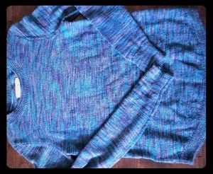 LOFT multicolor sweater